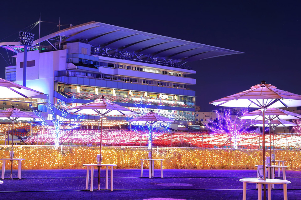 大井競馬場「東京メガイルミ 2026-2027」